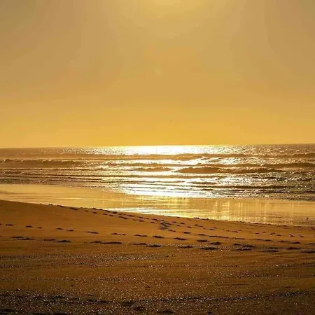 Chez Floflo Holiday home Rion-Des-Landes