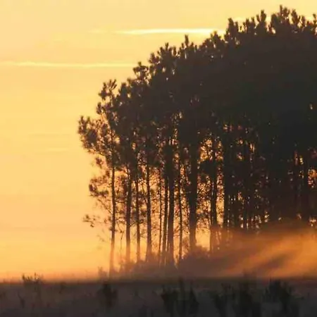 Chez Floflo Rion-Des-Landes
