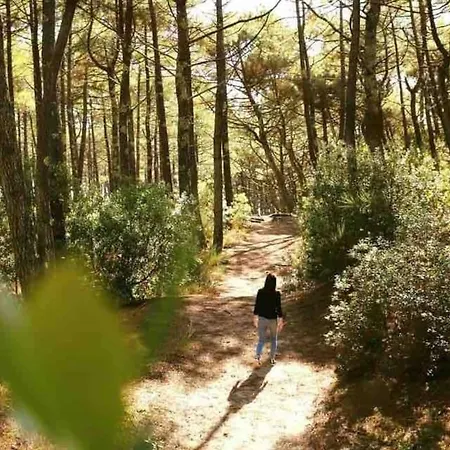 Chez Floflo Rion-Des-Landes