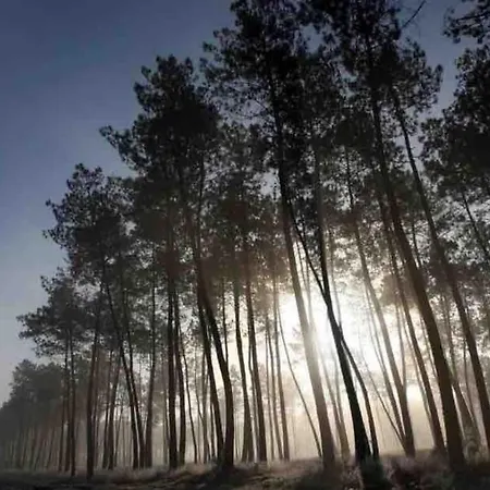 Holiday home Chez Floflo Rion-Des-Landes