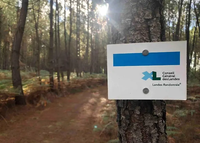 Chez Floflo * Rion-Des-Landes