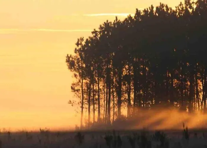 Chez Floflo Rion-Des-Landes