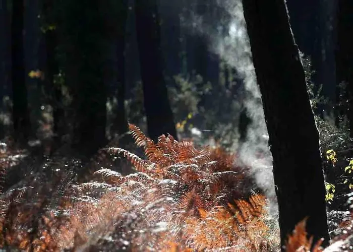 Сasa de vacaciones Chez Floflo