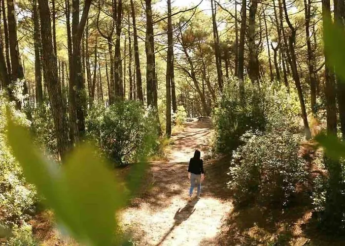 Chez Floflo Rion-Des-Landes