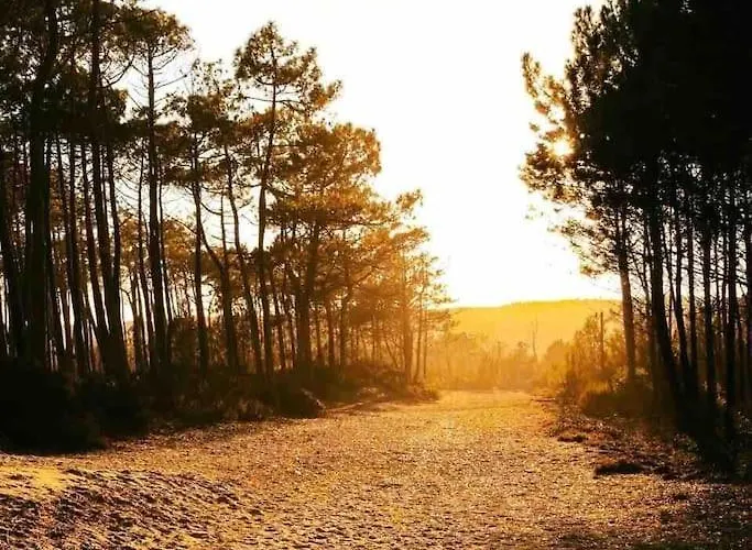 Chez Floflo Сasa de vacaciones *